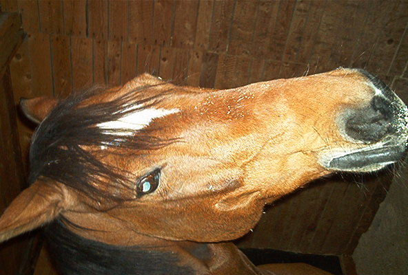 IM003880.jpg